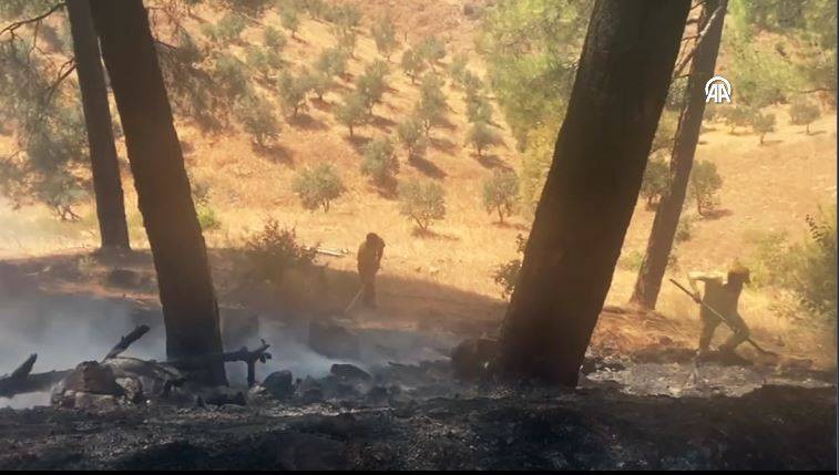 Kahramanmaraş'ta orman yangını - Resim: 15